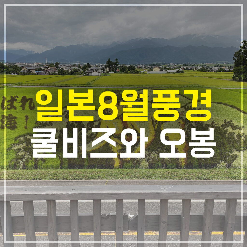일본 8월 풍경 쿨비즈와 오봉