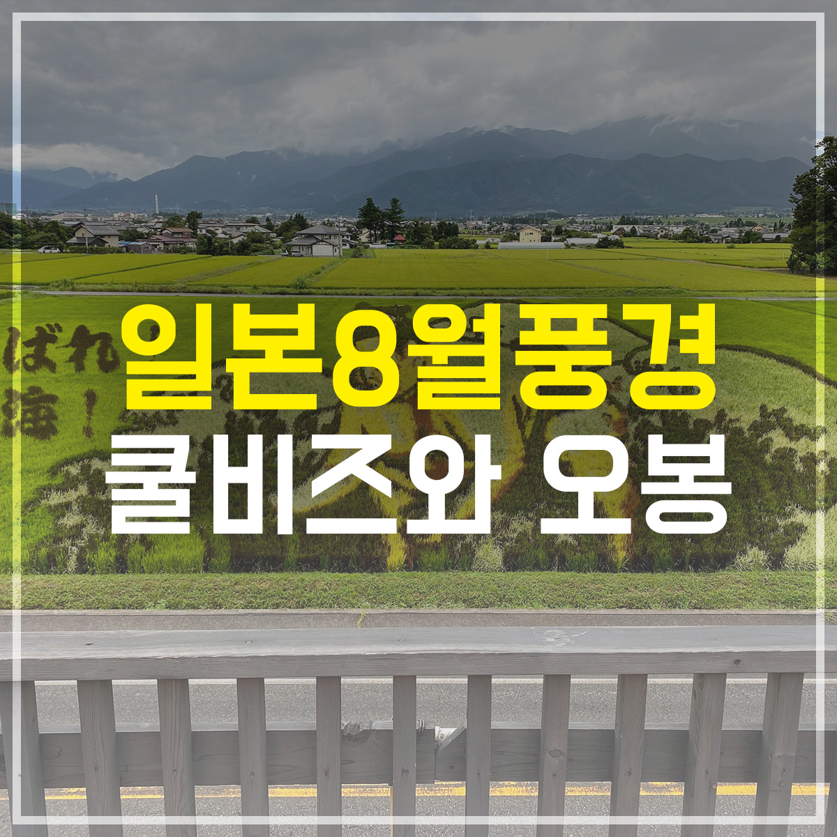 일본 8월 풍경 쿨비즈와 오봉