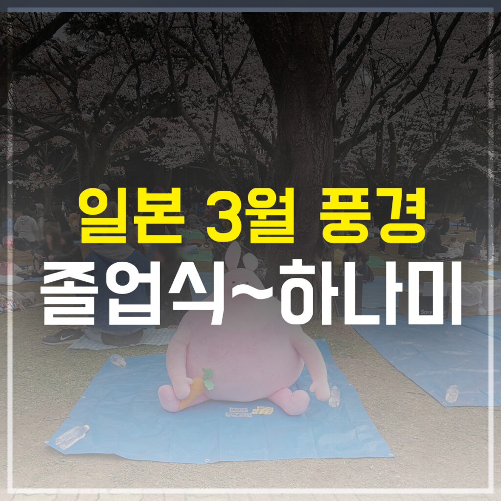 일본 3월 풍경