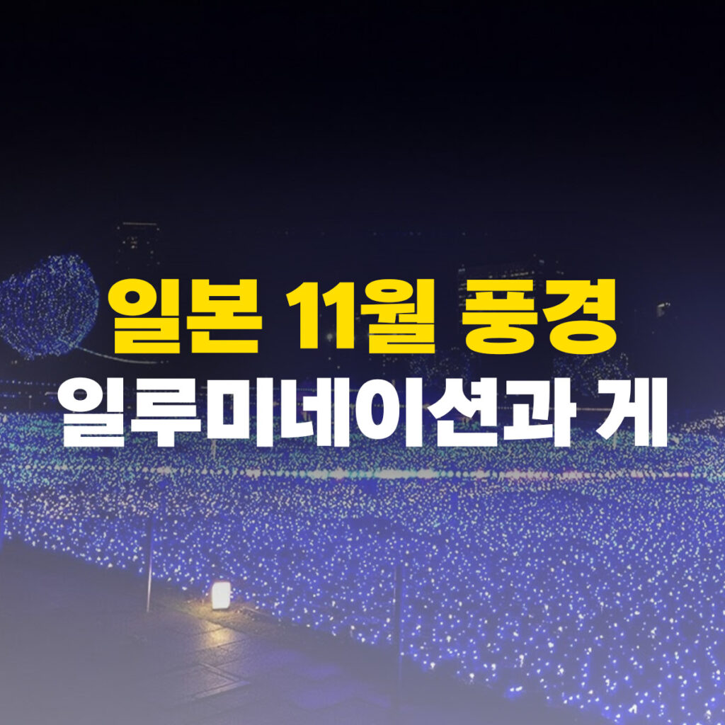 일본 11월 풍경 일루미네이션과 게