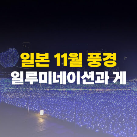 일본 11월 풍경 일루미네이션과 게