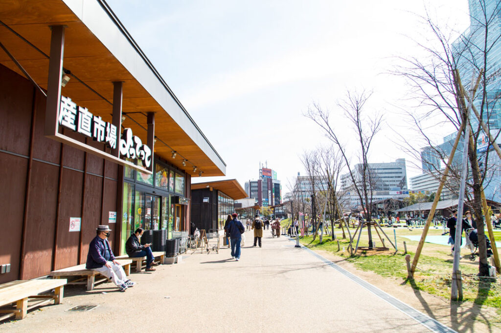 오사카 남부 덴노지 공원