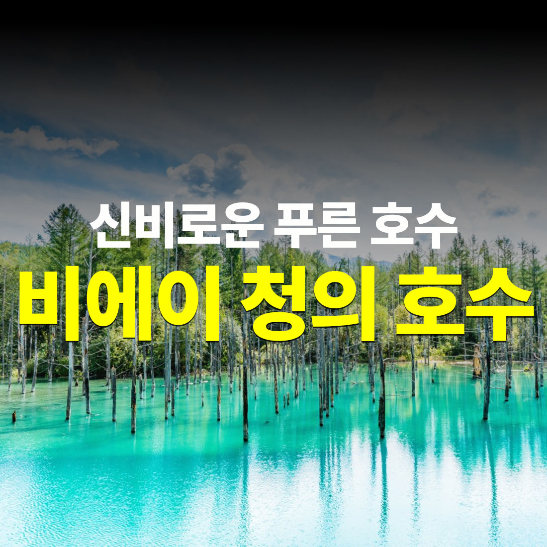 비에이 청의 호수 신비로운 푸른 호수