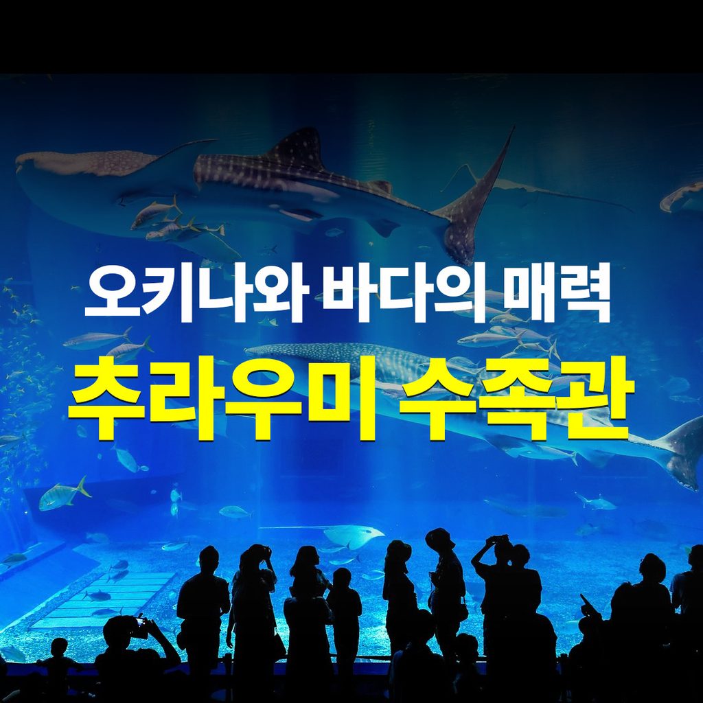 오키나와 추라우미 수족관 바다의 매력